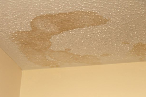 Flat roof leaking damp ceiling